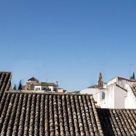 アパートホテル Puerta De La Ribera 4*